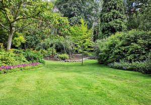 Optimiser l'expérience du jardin à Saint-Etienne-de-Fontbellon